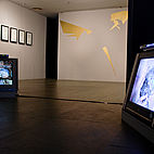 The Benin Project, installation view Guangdong Museum of Art, China, 2008