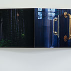 Untitled (from the series 'Ruins'), photographic diptych, 2008