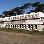 Monument. Blank Projects, Cape Town, 2009